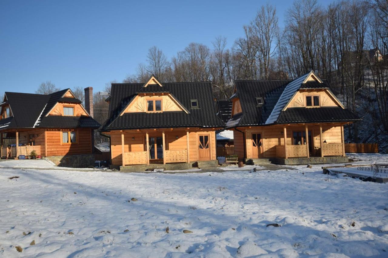 Dolina Villa Zakopane Dış mekan fotoğraf